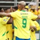Mamelodi Sundowns