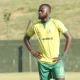 Sydney Malivha